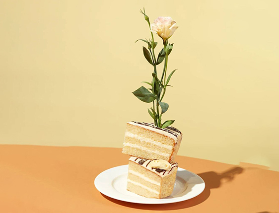 Torta 